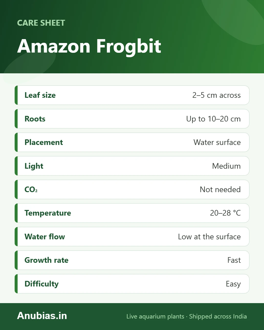 Amazon Frogbit care sheet: Leaf size, Roots, Placement, Light and more