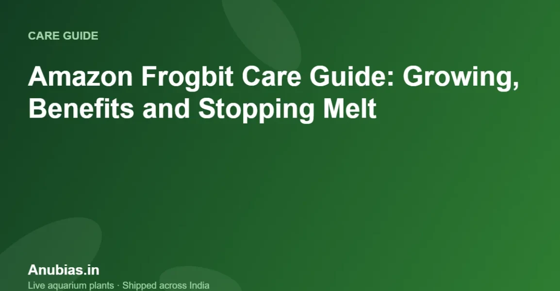 Amazon Frogbit Care Guide: Growing, Benefits and Stopping Melt – Anubias.in
