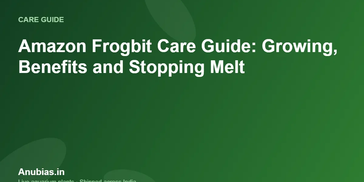 Amazon Frogbit Care Guide: Growing, Benefits and Stopping Melt – Anubias.in