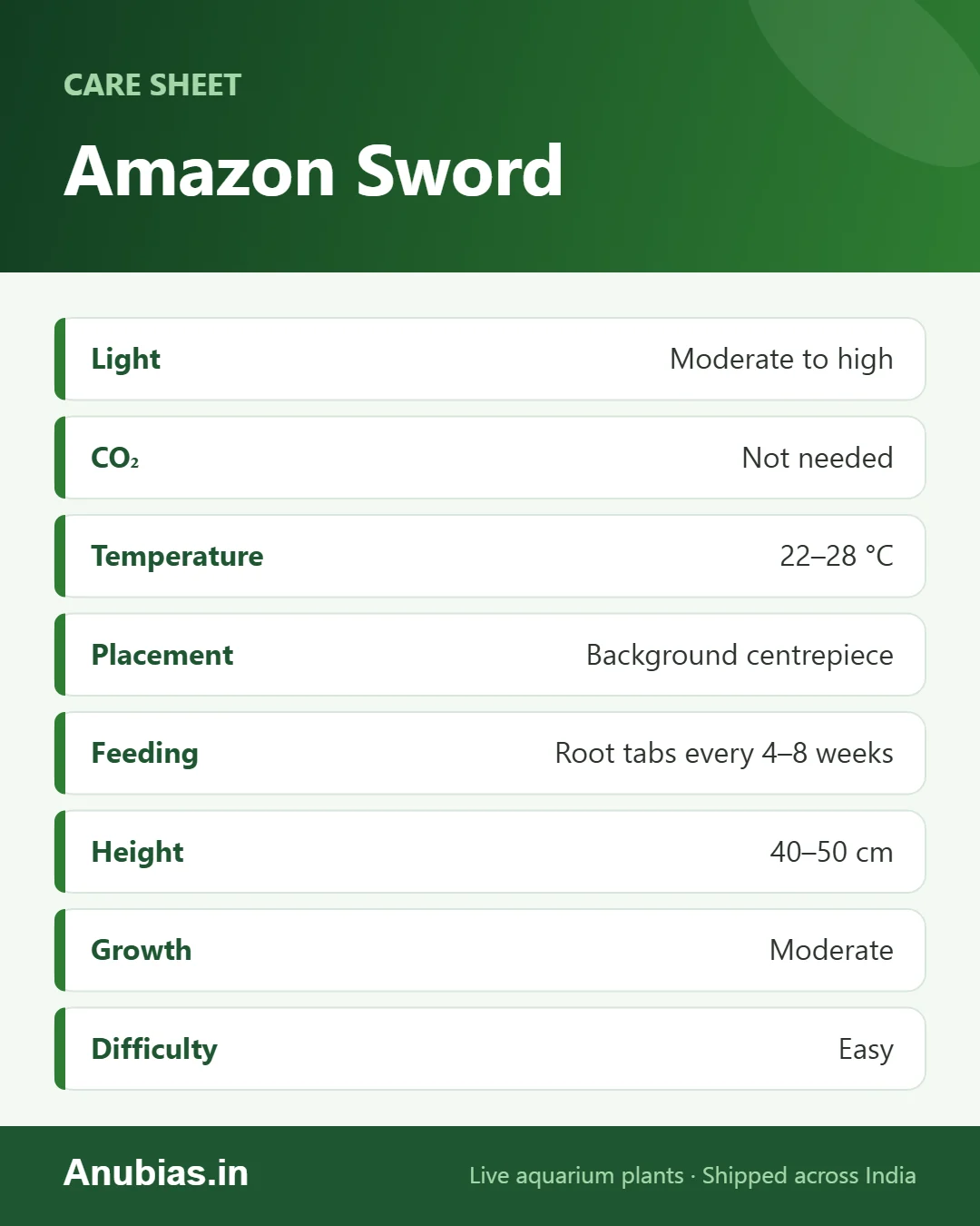 Amazon Sword care sheet: Light, CO₂, Temperature, pH and more