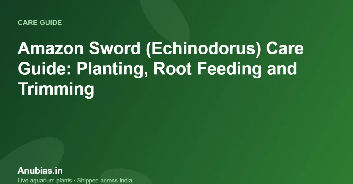 Amazon Sword (Echinodorus) Care Guide: Planting, Root Feeding and Trimming – Anubias.in