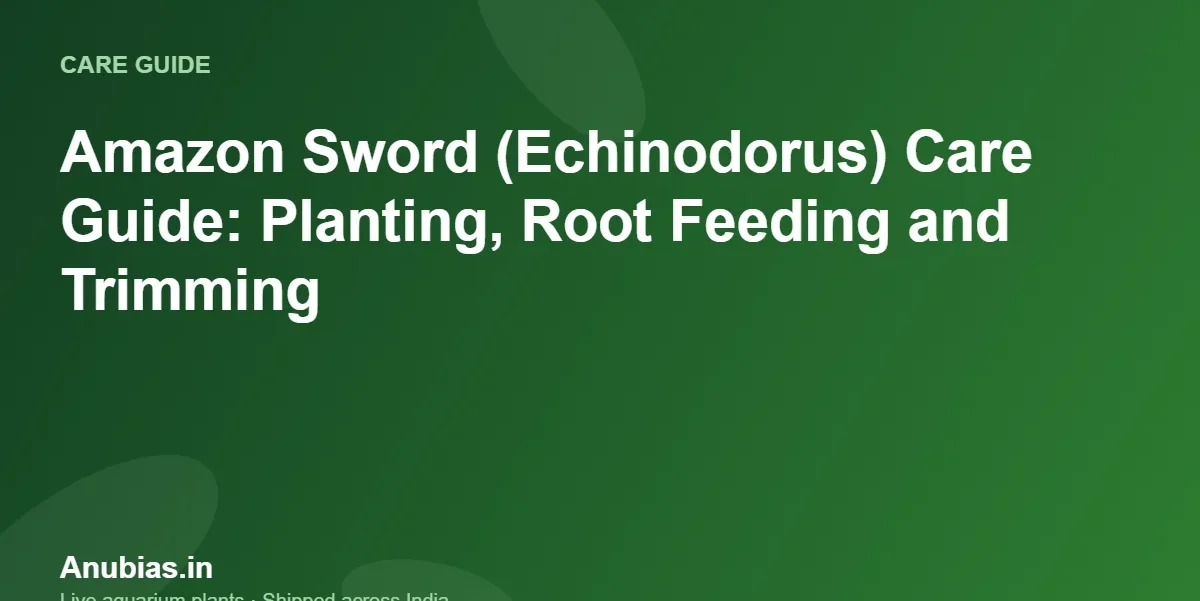 Amazon Sword (Echinodorus) Care Guide: Planting, Root Feeding and Trimming – Anubias.in