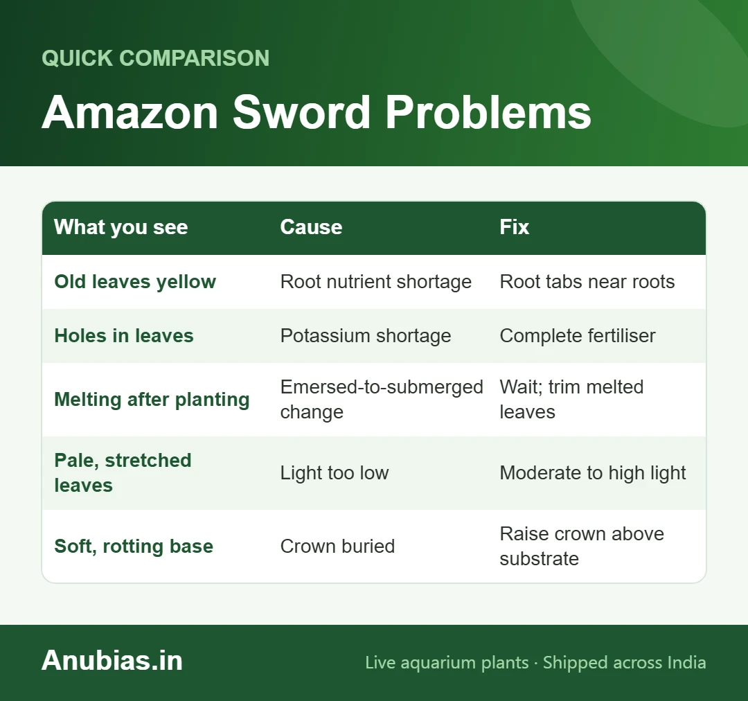 Amazon sword problems chart: yellow leaves, holes, melting, pale leaves and rotting crown with fixes