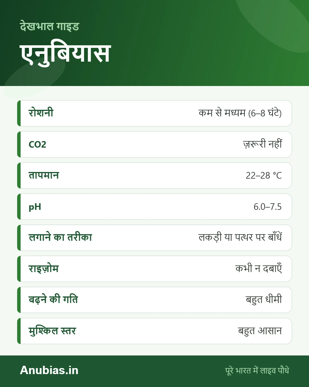 एनुबियास देखभाल तालिका: रोशनी, CO2, तापमान और लगाने का तरीका