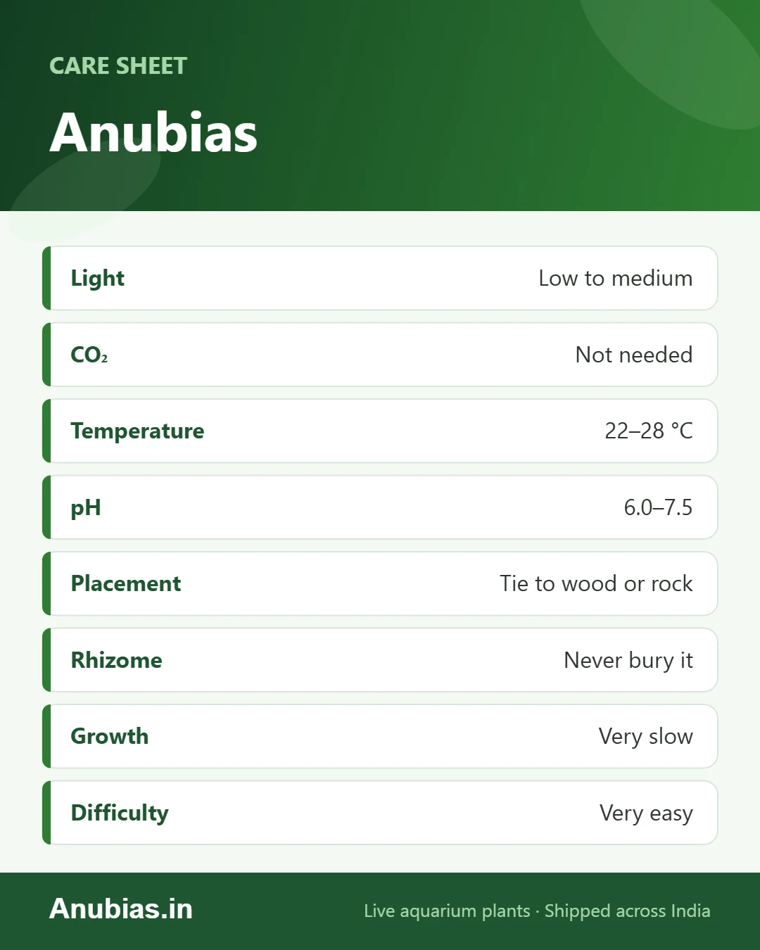 Anubias care sheet: Light, CO₂, Temperature, pH and more