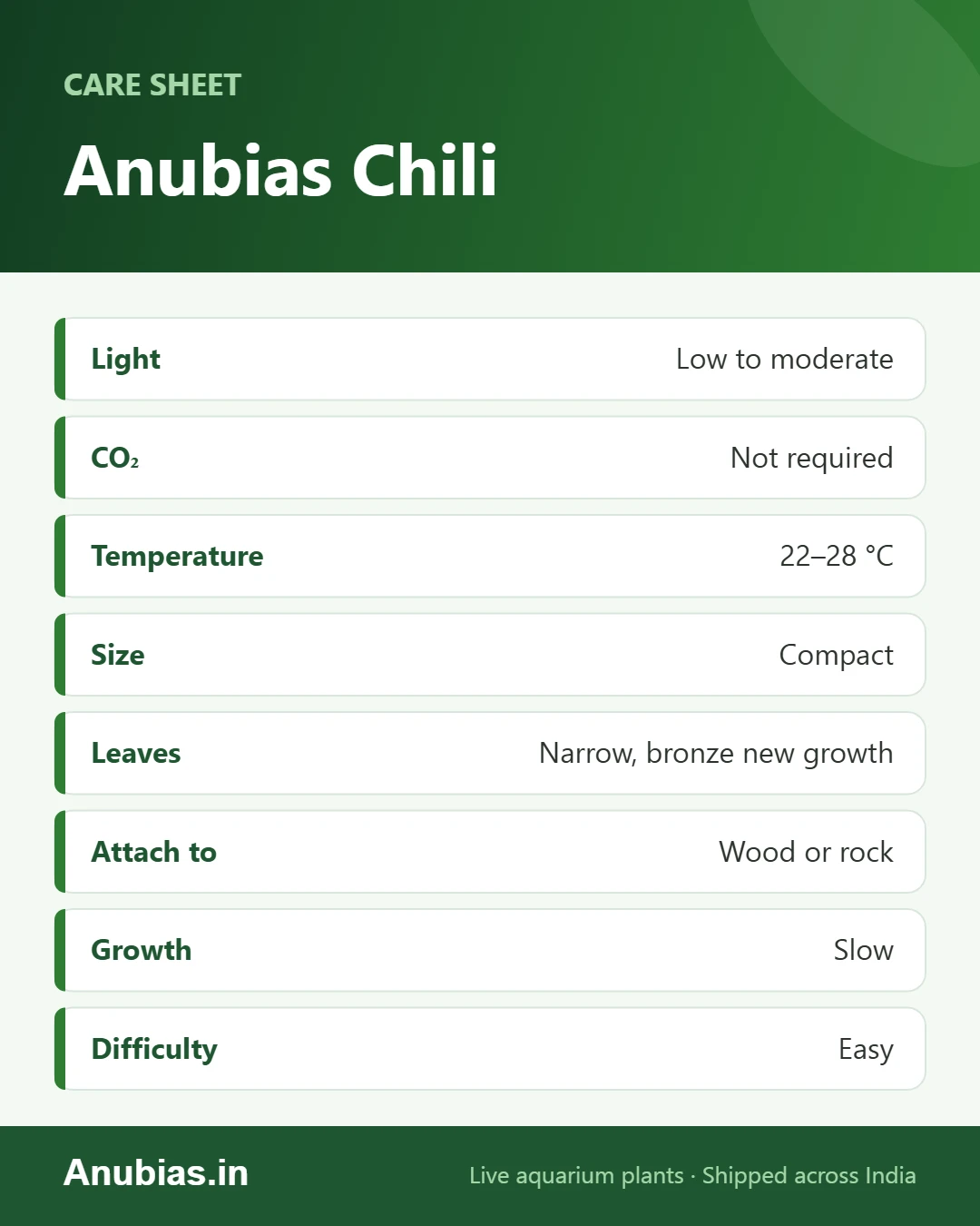 Anubias Chili care sheet infographic