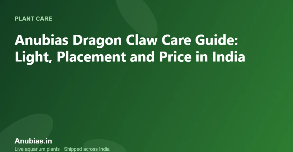 Anubias Dragon Claw Care Guide: Light, Placement and Price in India – Anubias.in