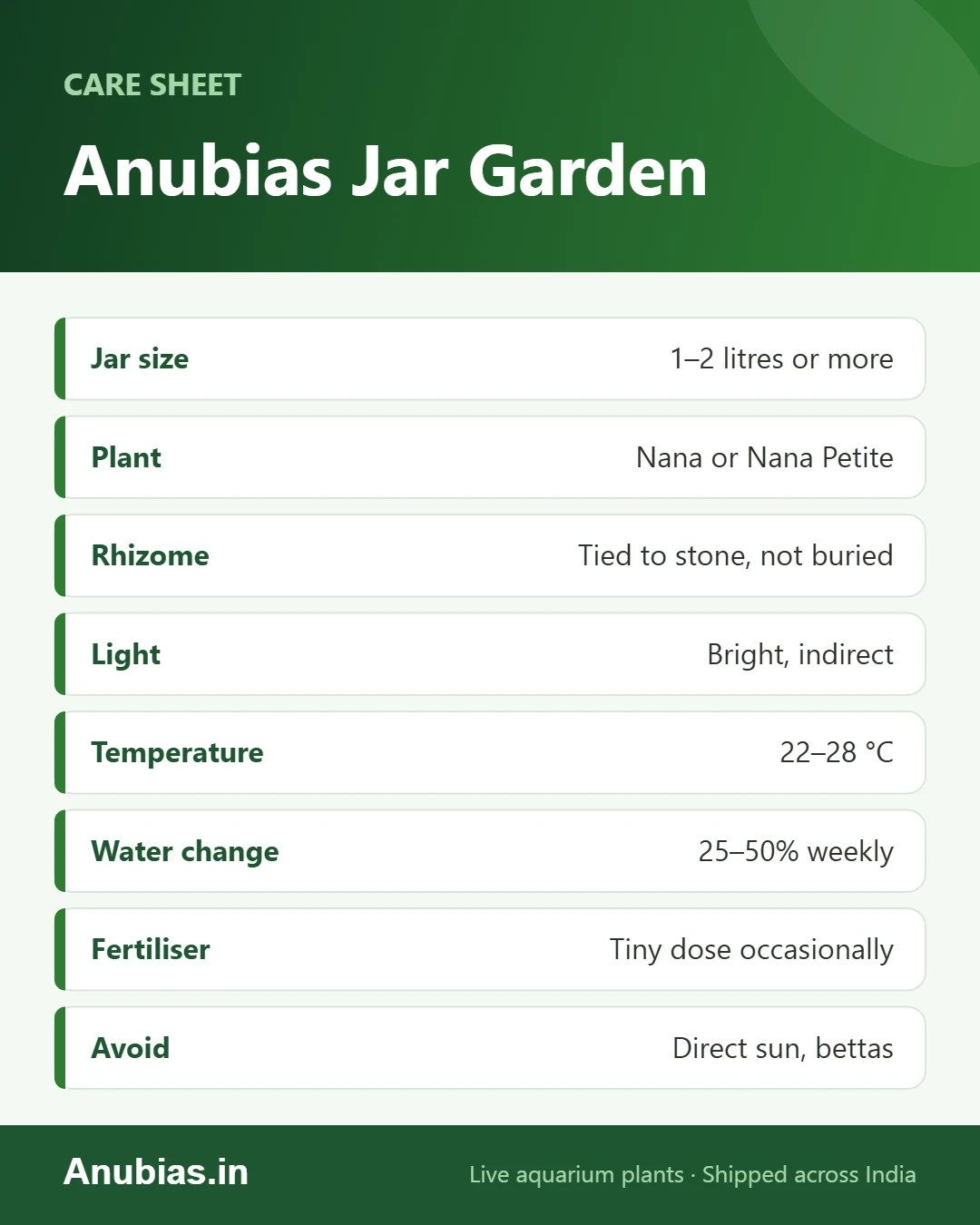 Anubias jar garden cheat sheet: jar size, plant, light, temperature and water changes