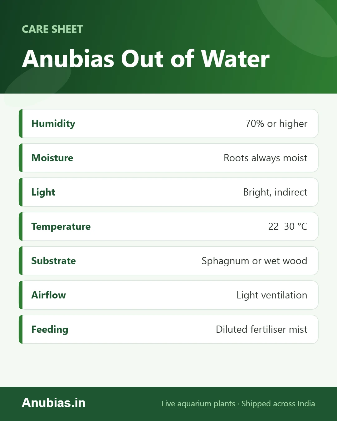 Emersed Anubias care sheet: humidity, moisture, light, temperature, substrate and feeding