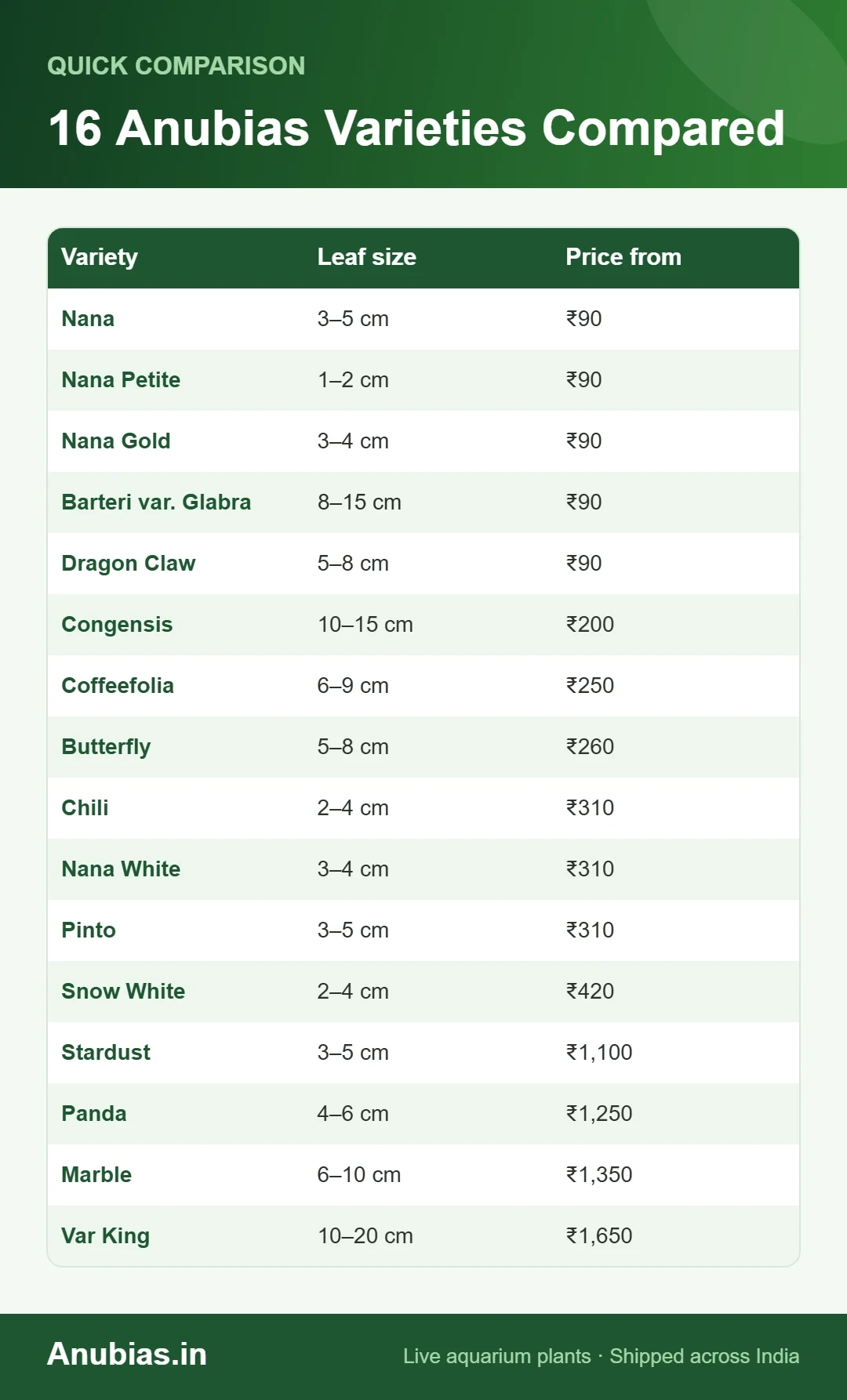 Chart comparing 16 Anubias varieties by leaf size and price in India