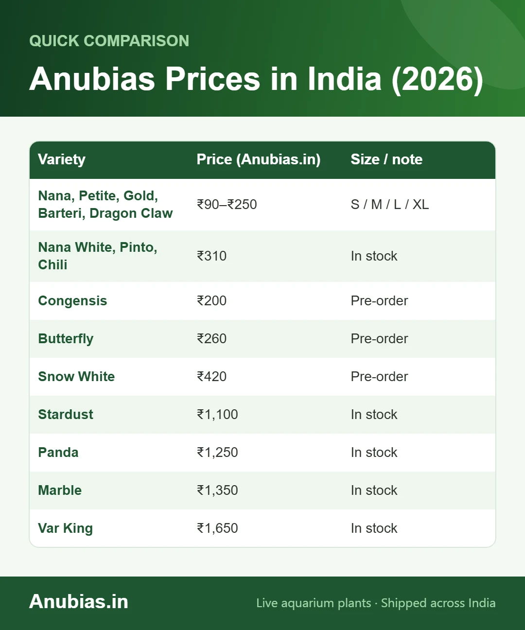 Chart of Anubias prices in India 2026