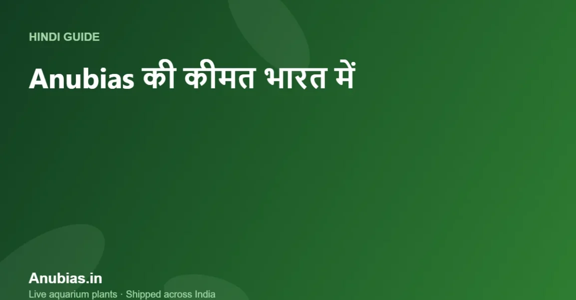 Anubias की कीमत भारत में (2026): Nana, Petite, Barteri और दुर्लभ किस्में (Hindi) – Anubias.in