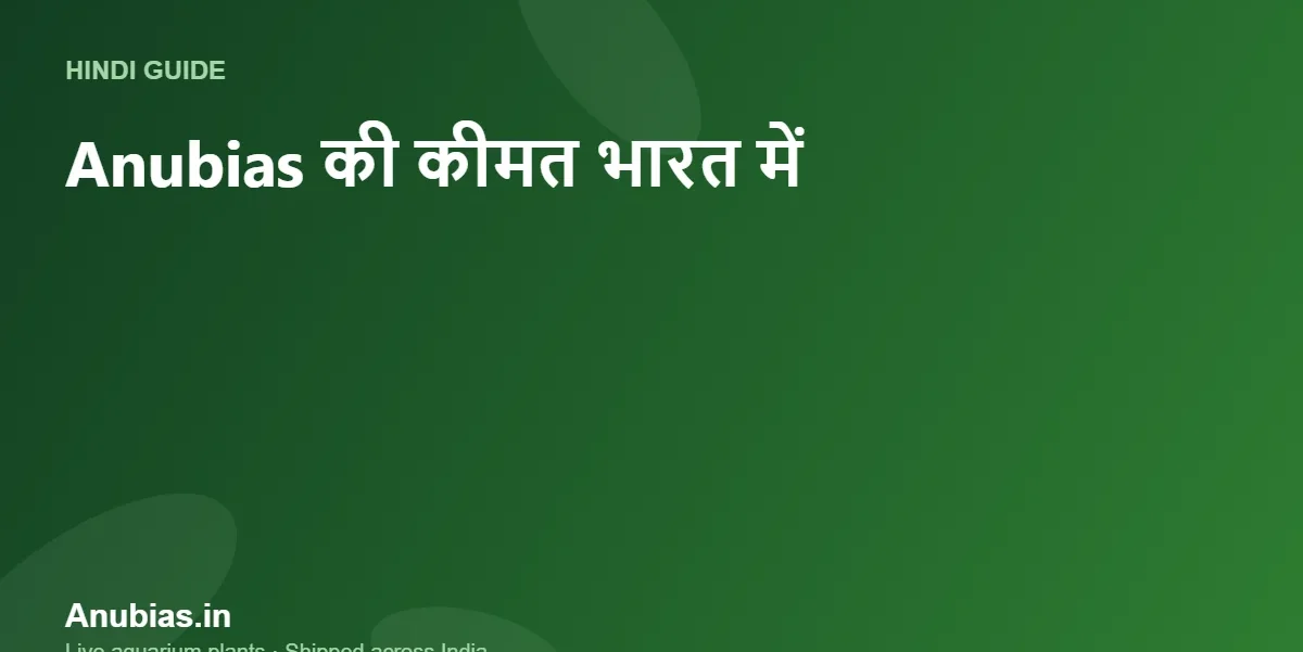 Anubias की कीमत भारत में (2026): Nana, Petite, Barteri और दुर्लभ किस्में (Hindi) – Anubias.in
