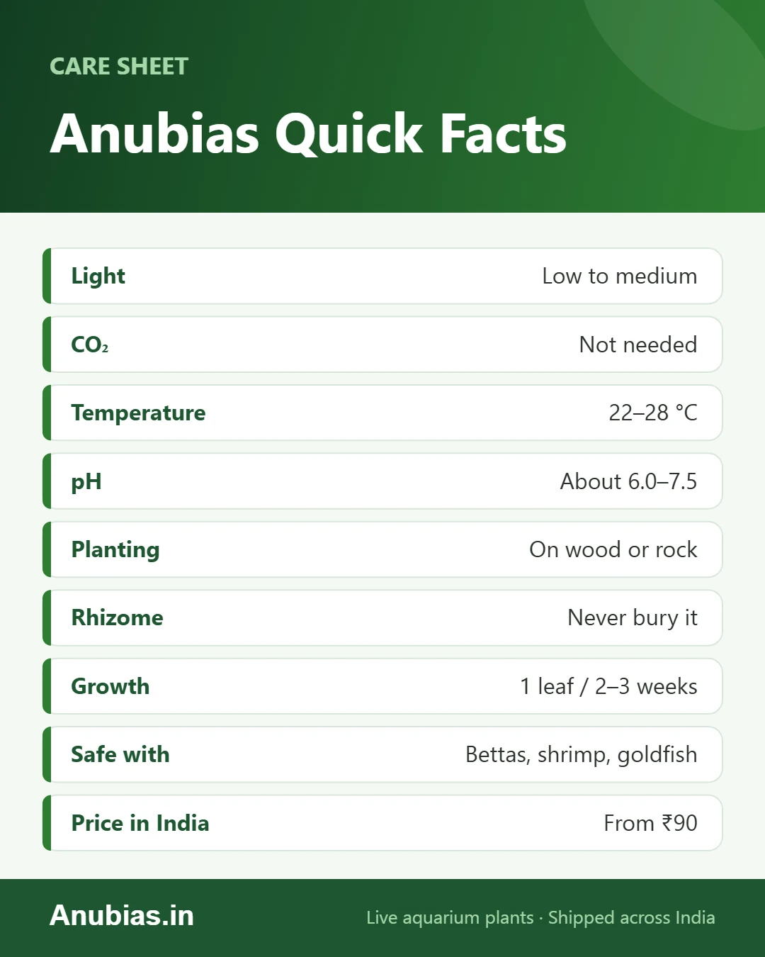 Anubias quick facts: light, CO2, temperature, pH, planting, growth rate, tank mates and price in India