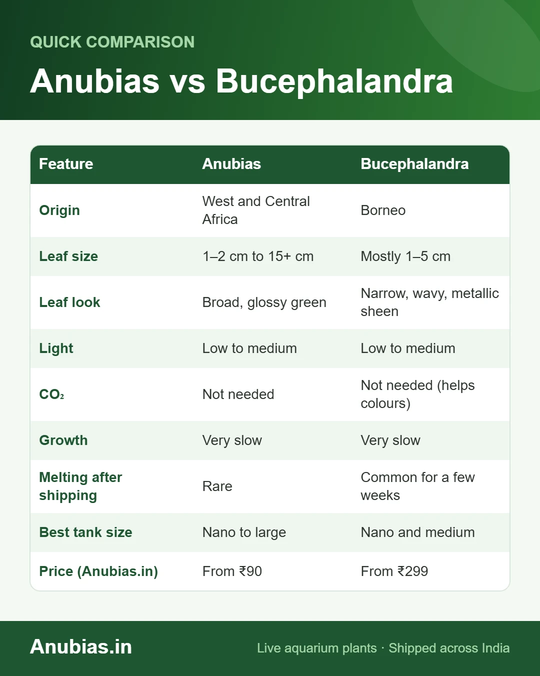 Anubias vs Bucephalandra chart: Anubias, Bucephalandra compared