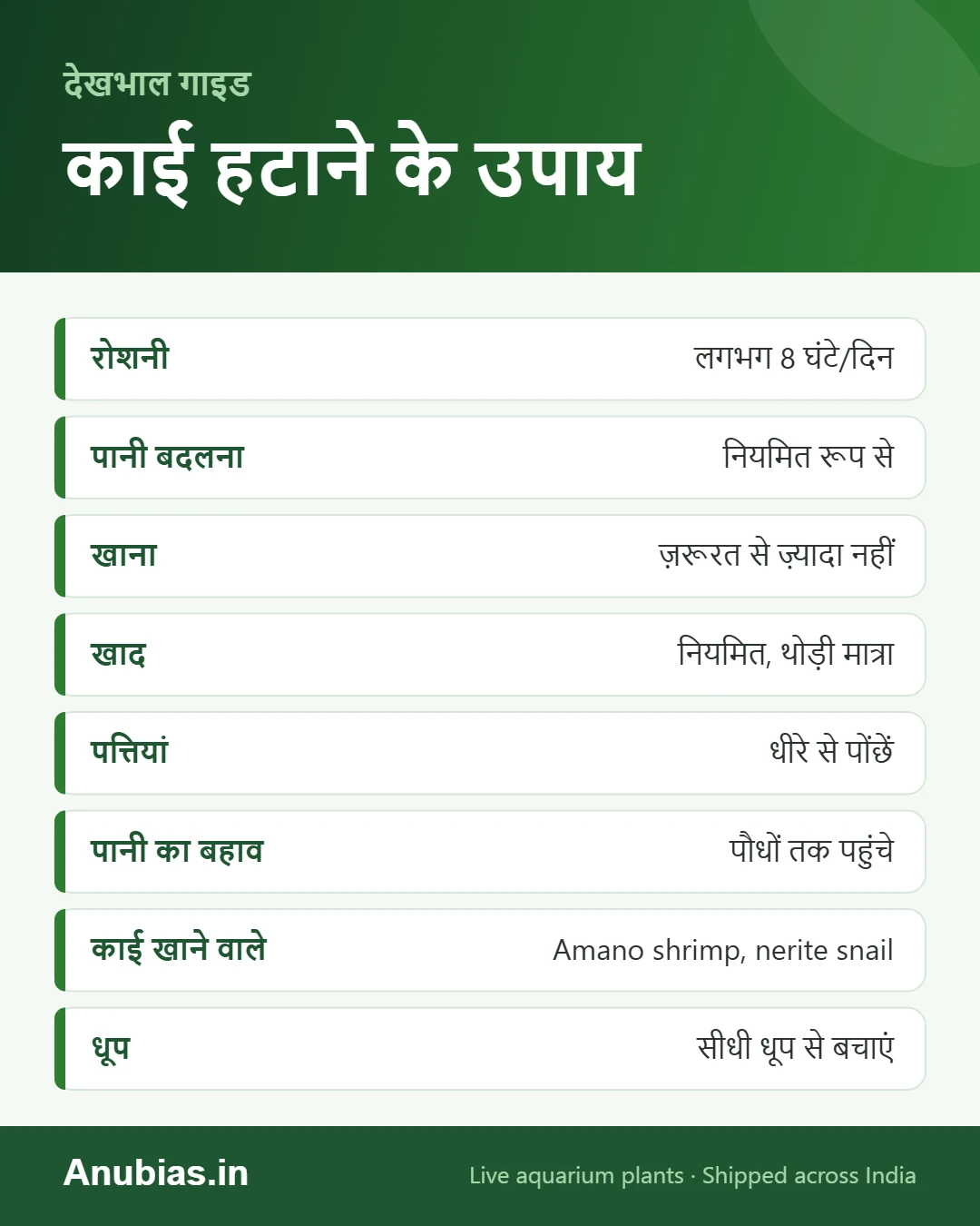 एक्वेरियम में काई हटाने के उपाय इन्फोग्राफिक
