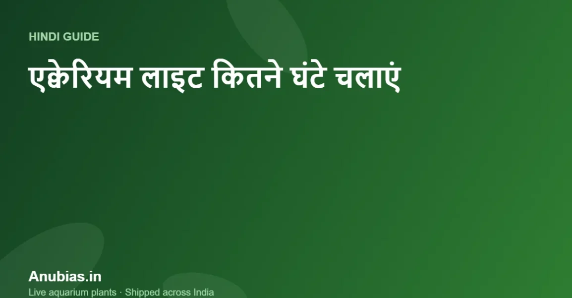 एक्वेरियम लाइट कितने घंटे चलानी चाहिए? पौधों के लिए सही समय (Hindi) – Anubias.in