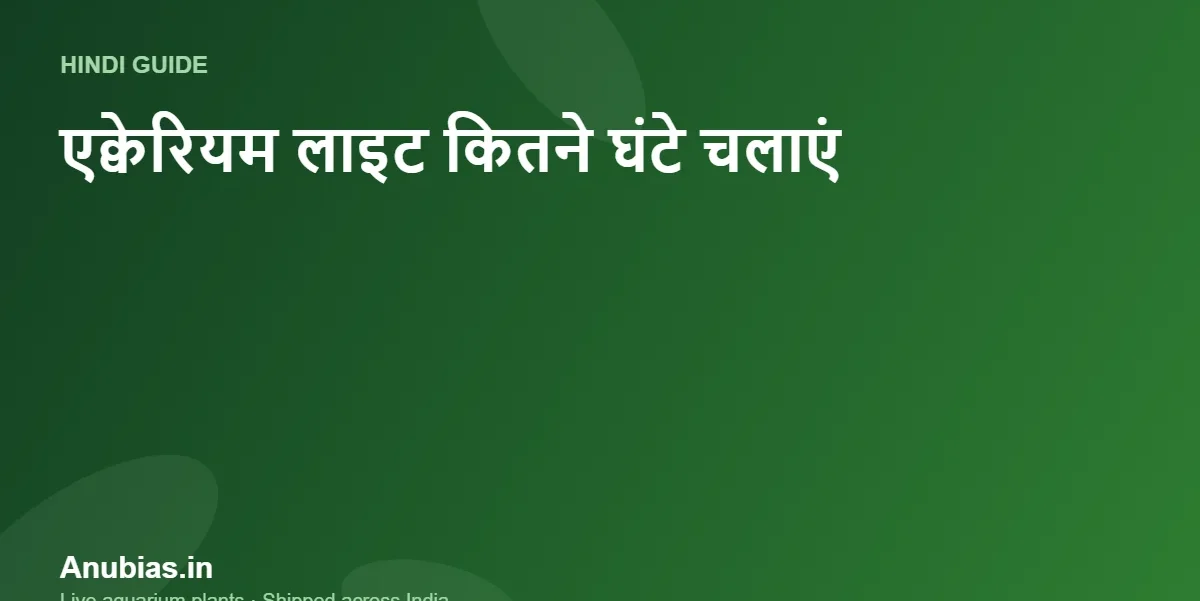 एक्वेरियम लाइट कितने घंटे चलानी चाहिए? पौधों के लिए सही समय (Hindi) – Anubias.in
