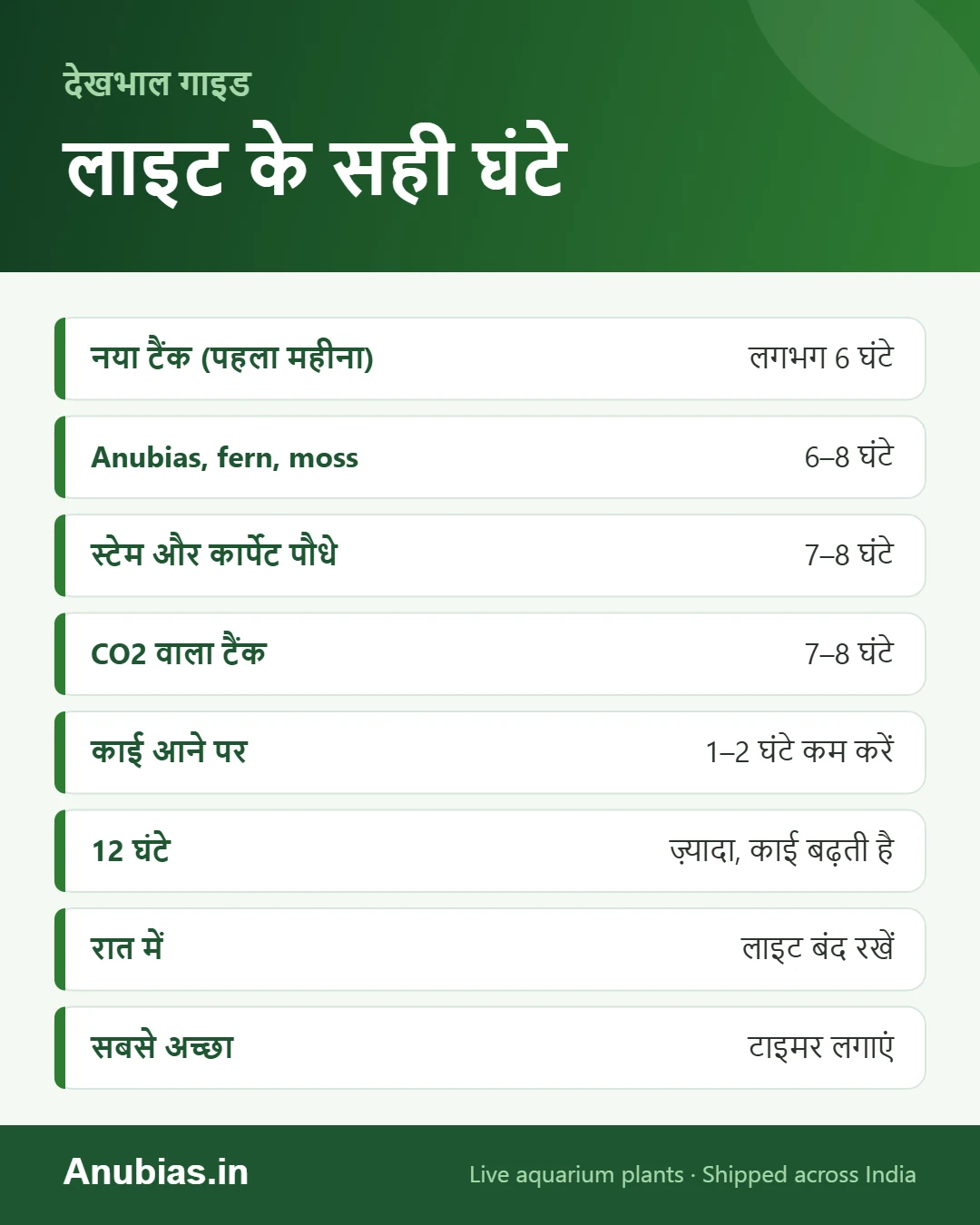 एक्वेरियम लाइट के सही घंटे इन्फोग्राफिक