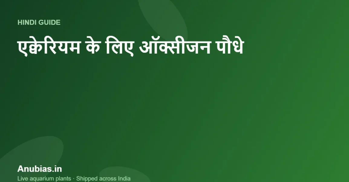एक्वेरियम के लिए ऑक्सीजन पौधे: क्या पौधे एयर पंप की जगह ले सकते हैं? (Hindi) – Anubias.in