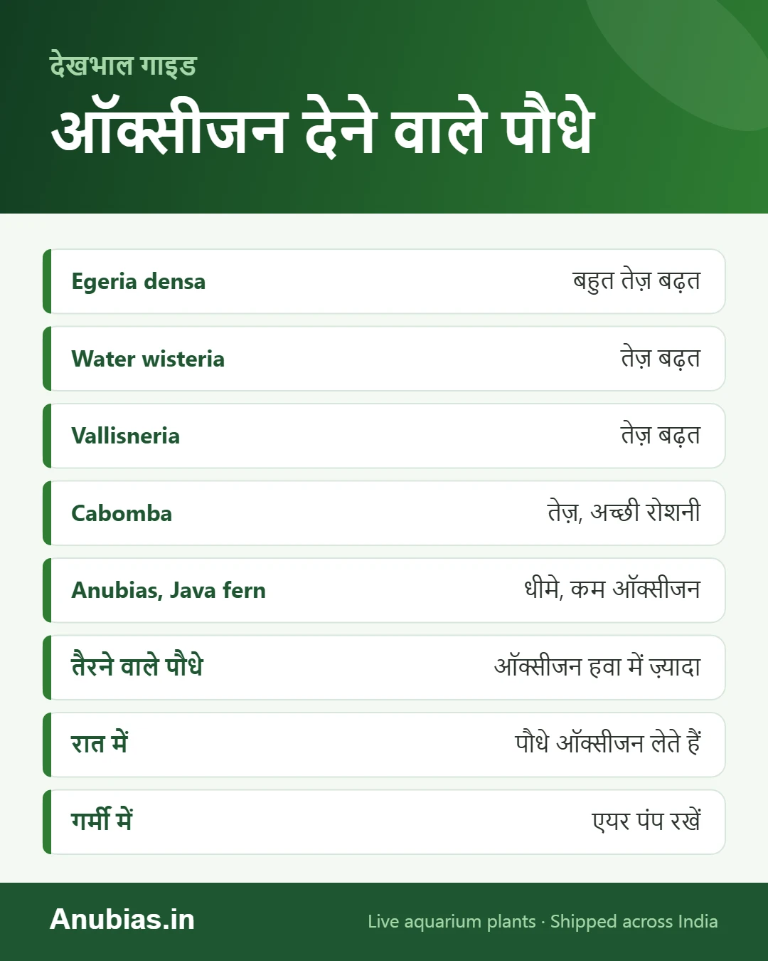 एक्वेरियम के लिए ऑक्सीजन देने वाले पौधे इन्फोग्राफिक