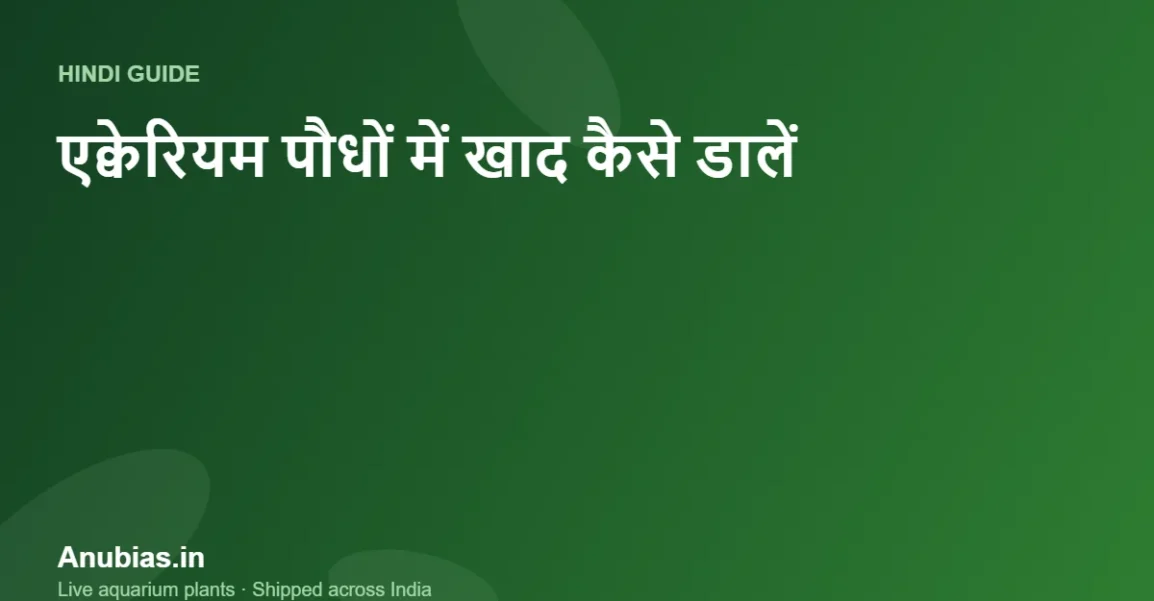 एक्वेरियम पौधों में खाद कैसे और कब डालें? आसान शेड्यूल (Hindi) – Anubias.in