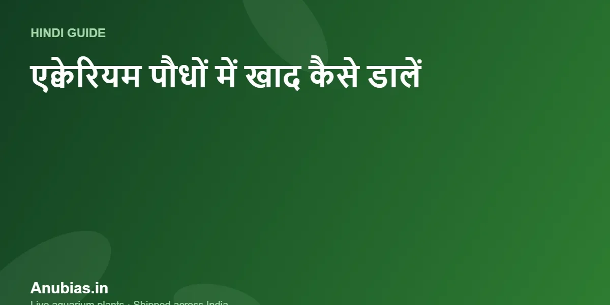 एक्वेरियम पौधों में खाद कैसे और कब डालें? आसान शेड्यूल (Hindi) – Anubias.in