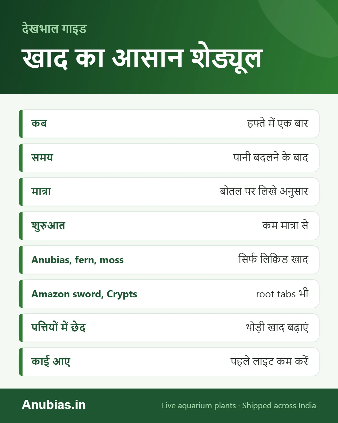एक्वेरियम पौधों में खाद डालने का शेड्यूल इन्फोग्राफिक