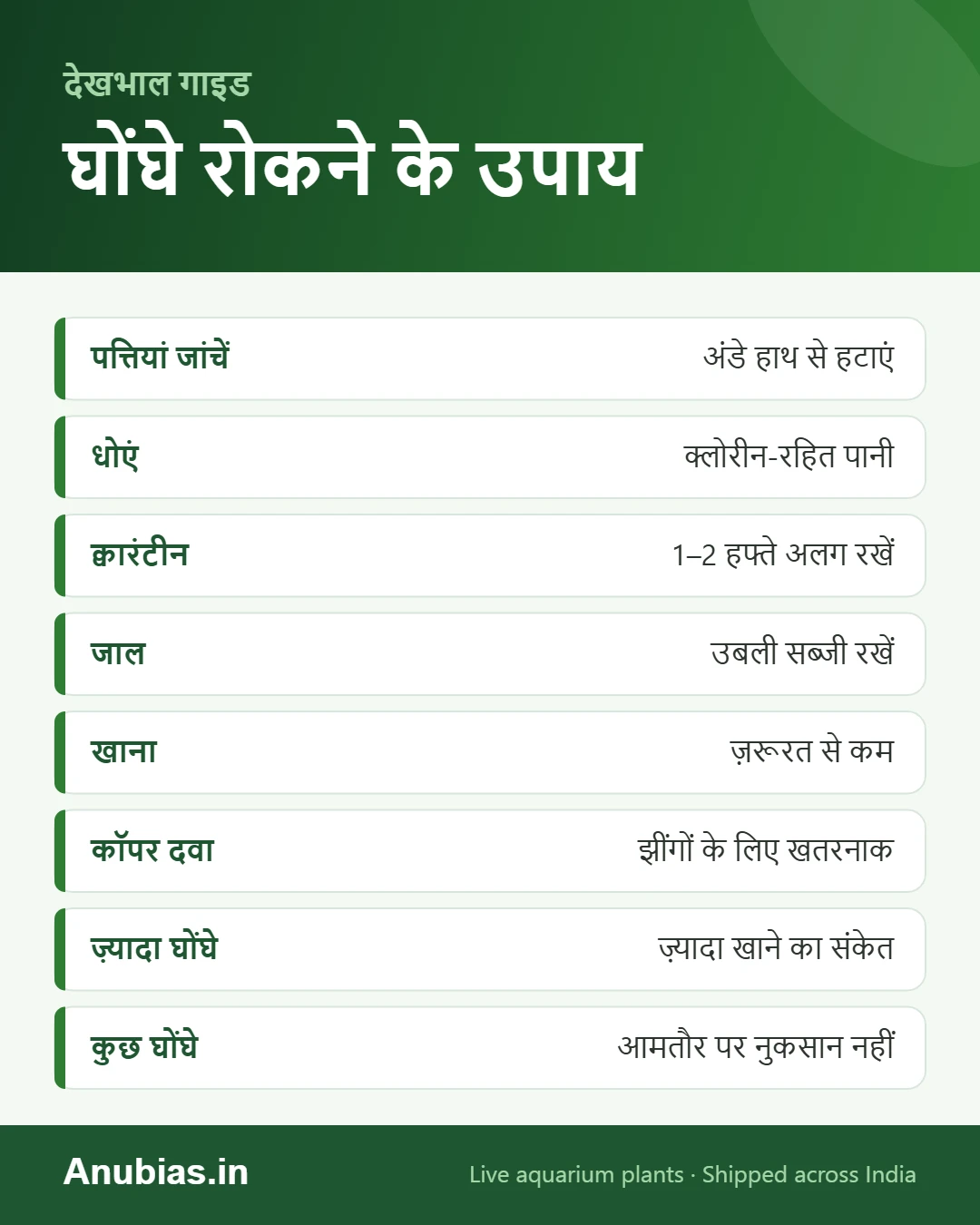 एक्वेरियम पौधों से घोंघे हटाने के उपाय इन्फोग्राफिक
