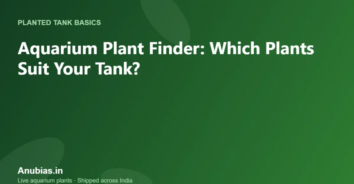 Aquarium Plant Finder: Which Plants Suit Your Tank? – Anubias.in