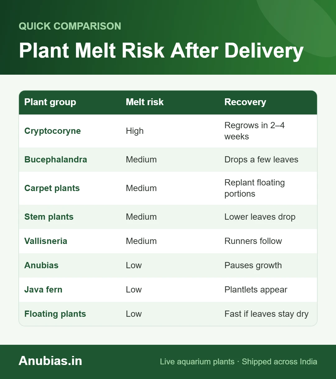 Chart of aquarium plant melt risk after delivery: Cryptocoryne high, Anubias and Java fern low