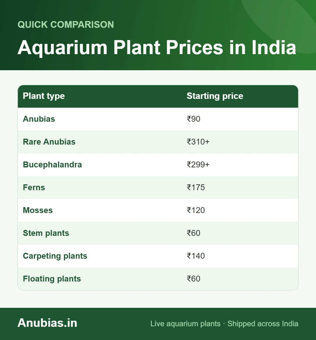Aquarium plant prices in India chart: Anubias from ₹90, Bucephalandra from ₹299, ferns ₹175, mosses ₹120, stem ₹60, carpet ₹140, floating ₹60