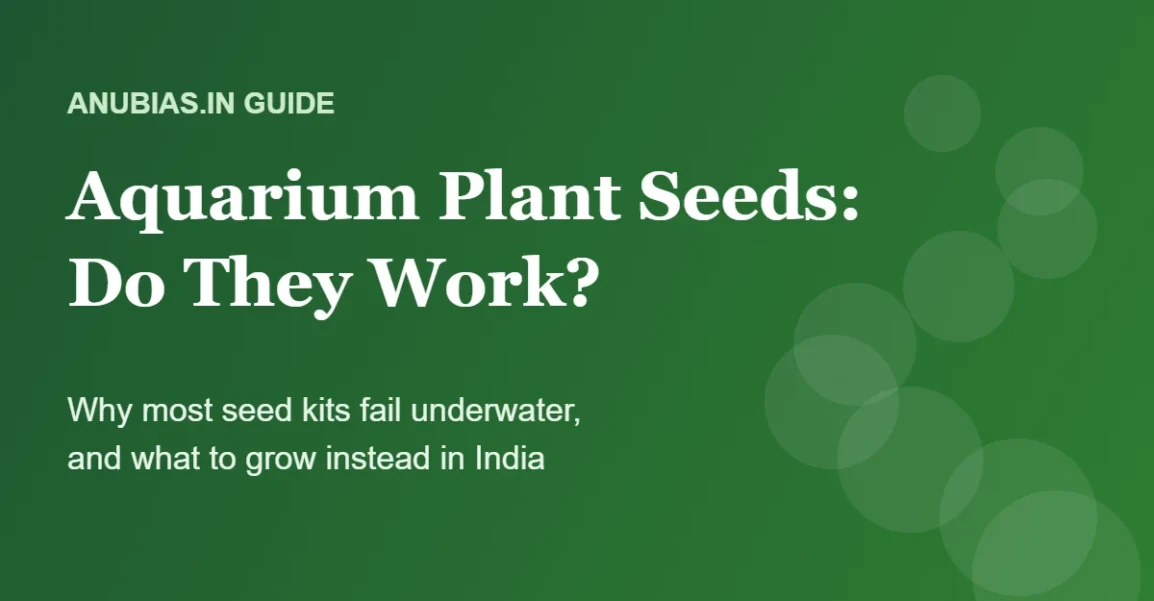 Aquarium plant seeds: do they work? Guide by Anubias.in