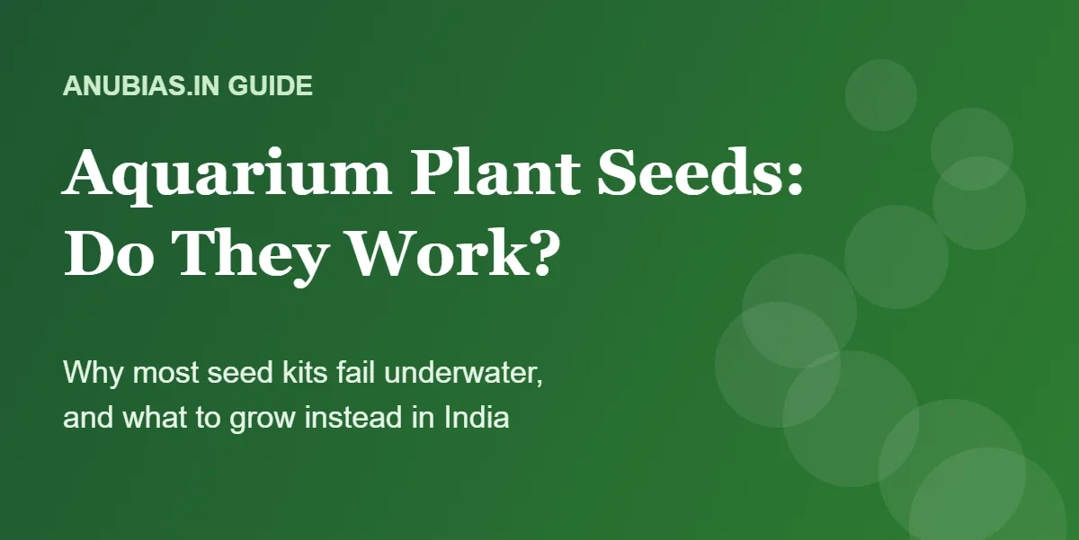 Aquarium plant seeds: do they work? Guide by Anubias.in