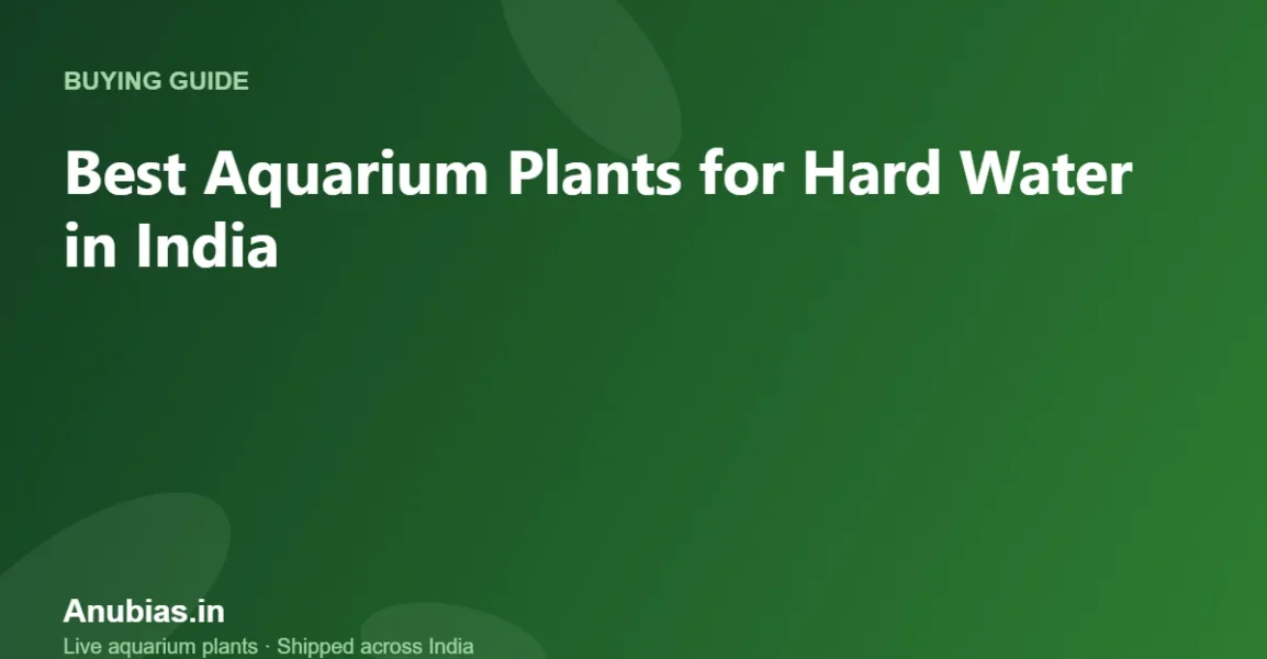 Best Aquarium Plants for Hard Water in India – Anubias.in