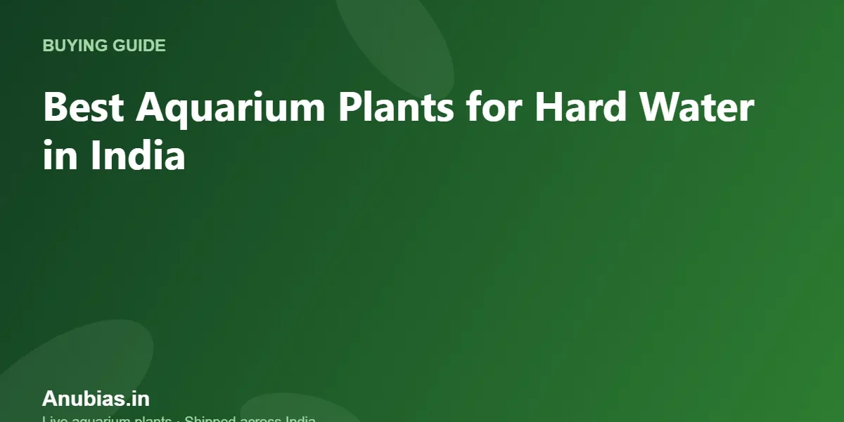 Best Aquarium Plants for Hard Water in India – Anubias.in