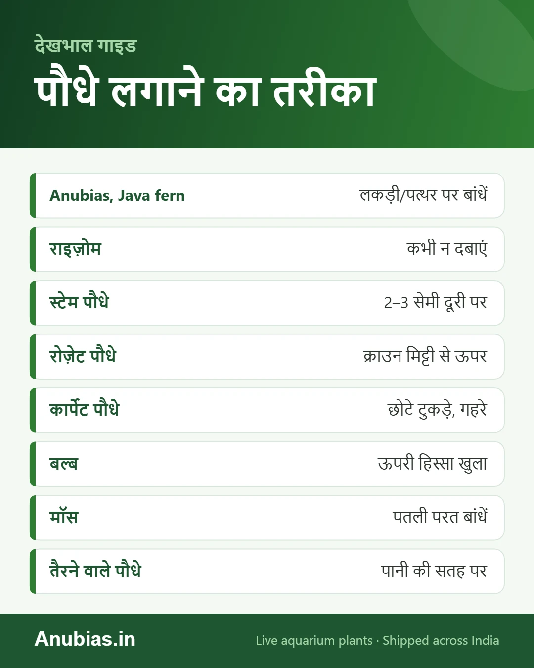 एक्वेरियम पौधे लगाने का तरीका इन्फोग्राफिक