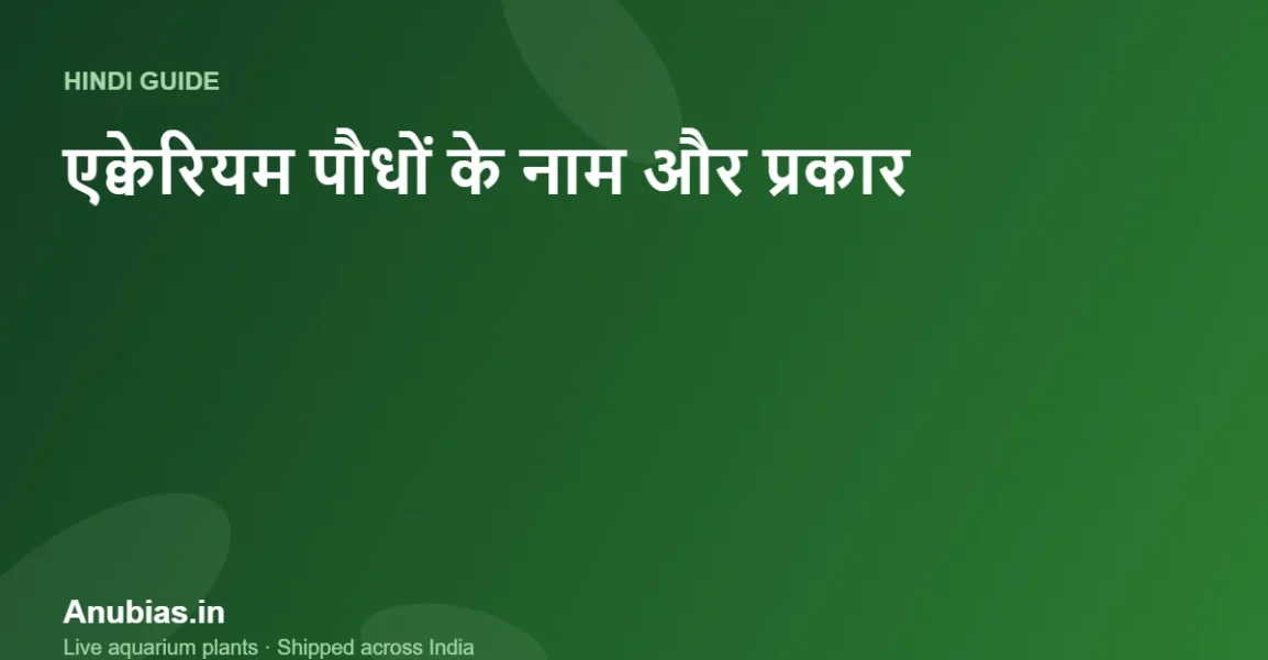 एक्वेरियम पौधों के नाम और प्रकार: पूरी सूची (Hindi) – Anubias.in