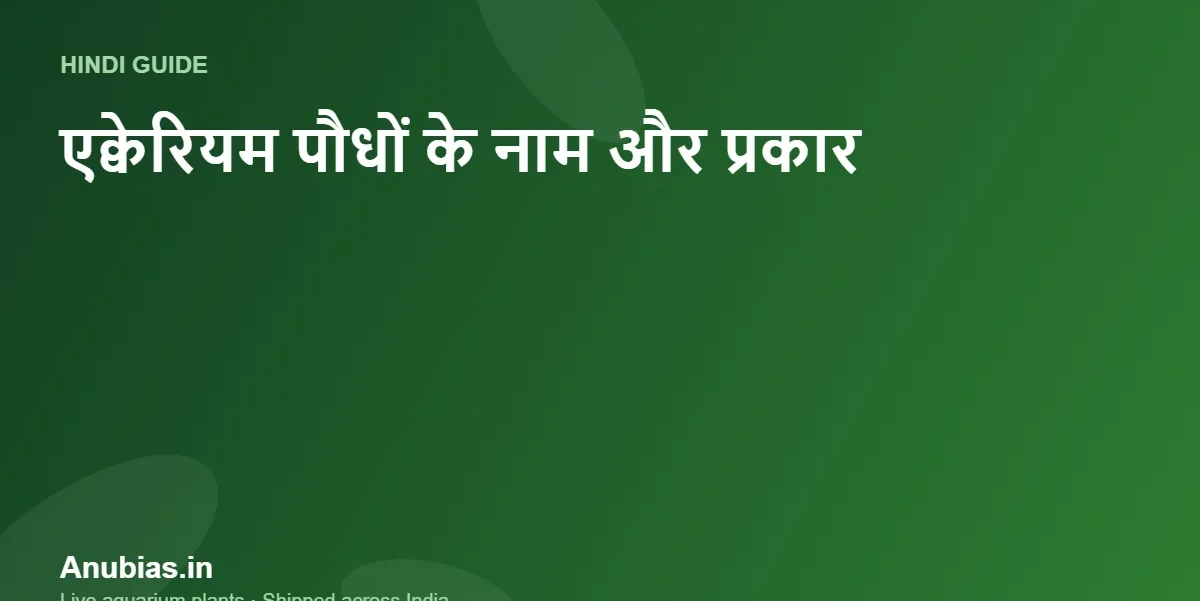एक्वेरियम पौधों के नाम और प्रकार: पूरी सूची (Hindi) – Anubias.in