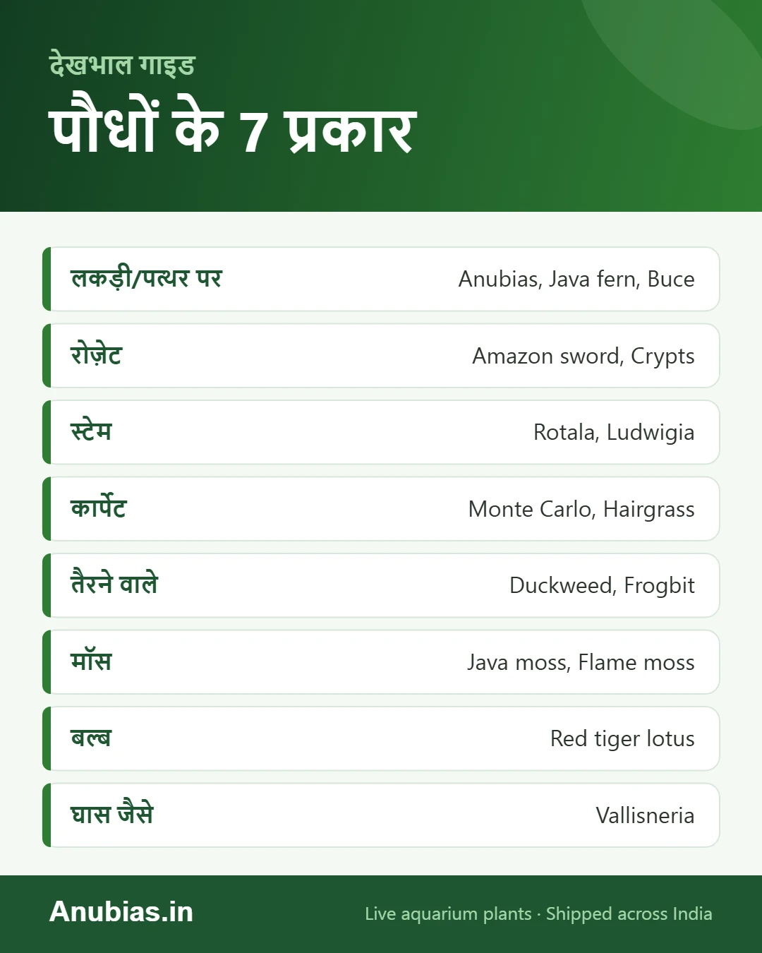 एक्वेरियम पौधों के प्रकार और नाम इन्फोग्राफिक