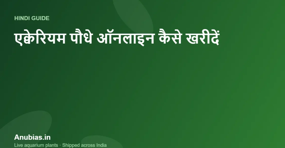एक्वेरियम पौधे ऑनलाइन कैसे खरीदें? भारत में सुरक्षित खरीदारी गाइड (Hindi) – Anubias.in