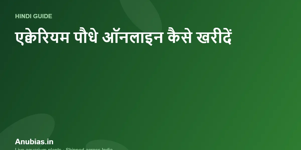 एक्वेरियम पौधे ऑनलाइन कैसे खरीदें? भारत में सुरक्षित खरीदारी गाइड (Hindi) – Anubias.in