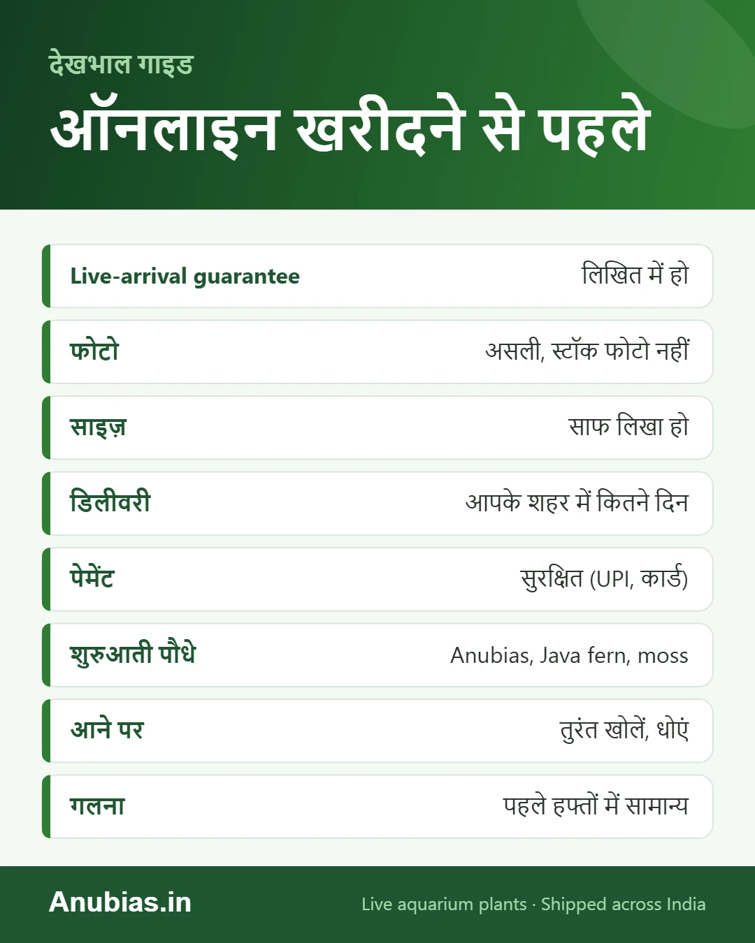 एक्वेरियम पौधे ऑनलाइन खरीदने की चेकलिस्ट इन्फोग्राफिक