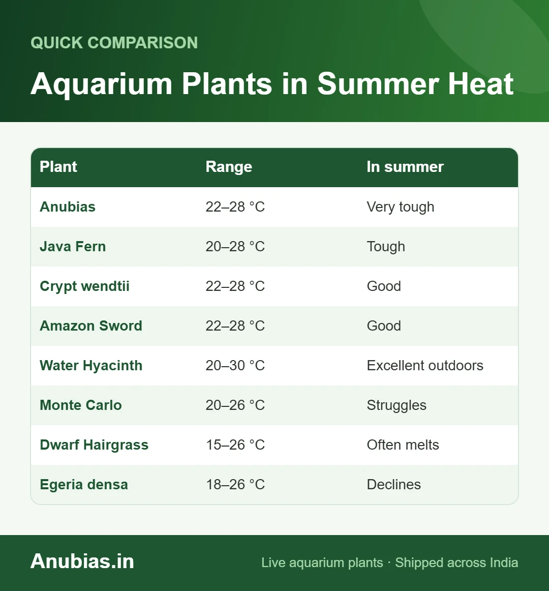 Chart of which aquarium plants tolerate Indian summer heat and which struggle