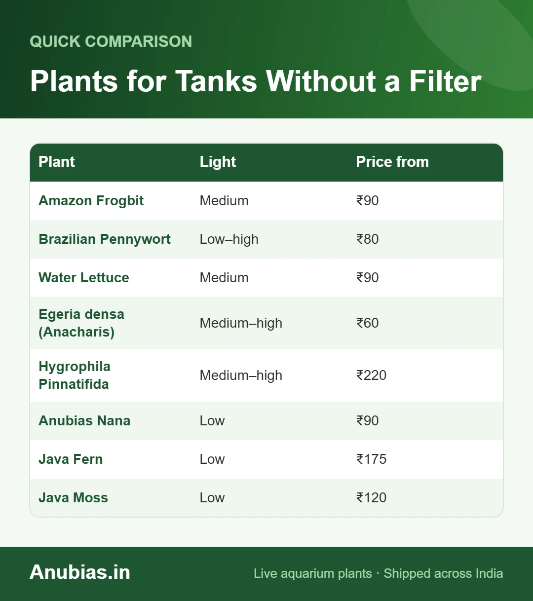 Plants for Tanks Without a Filter chart: Light, Price from compared