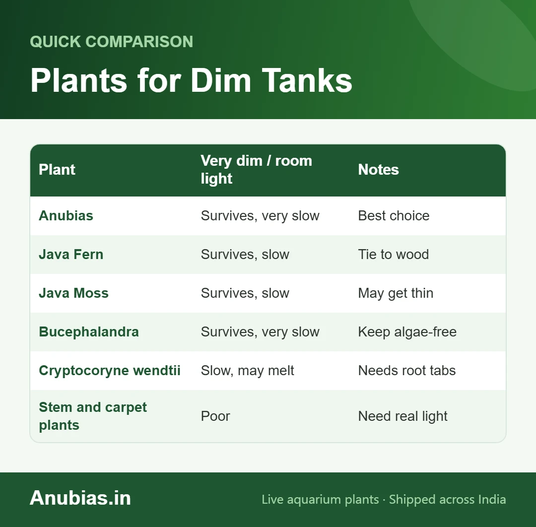 Chart of aquarium plants that survive dim tanks