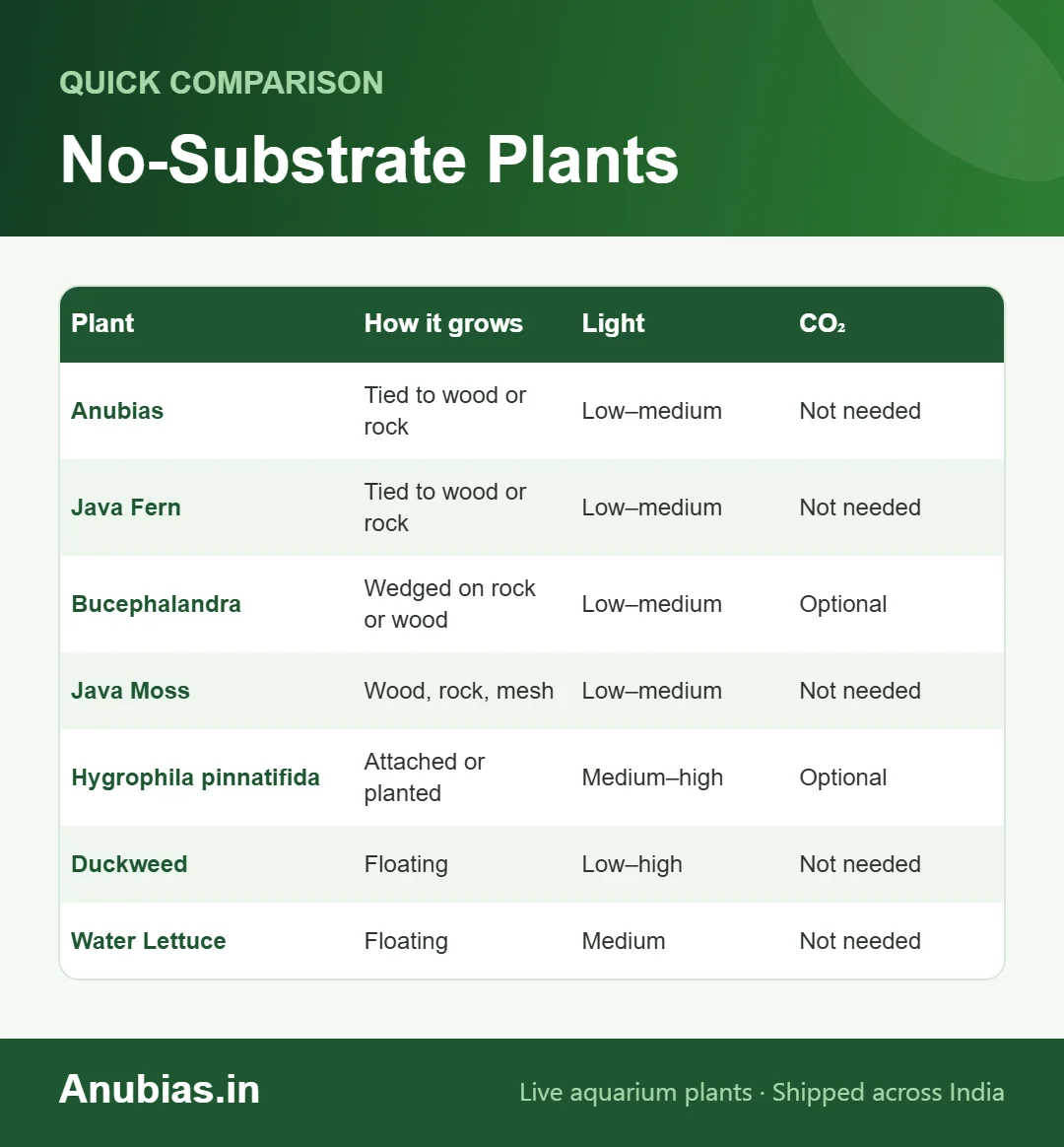 Chart of aquarium plants that grow without substrate