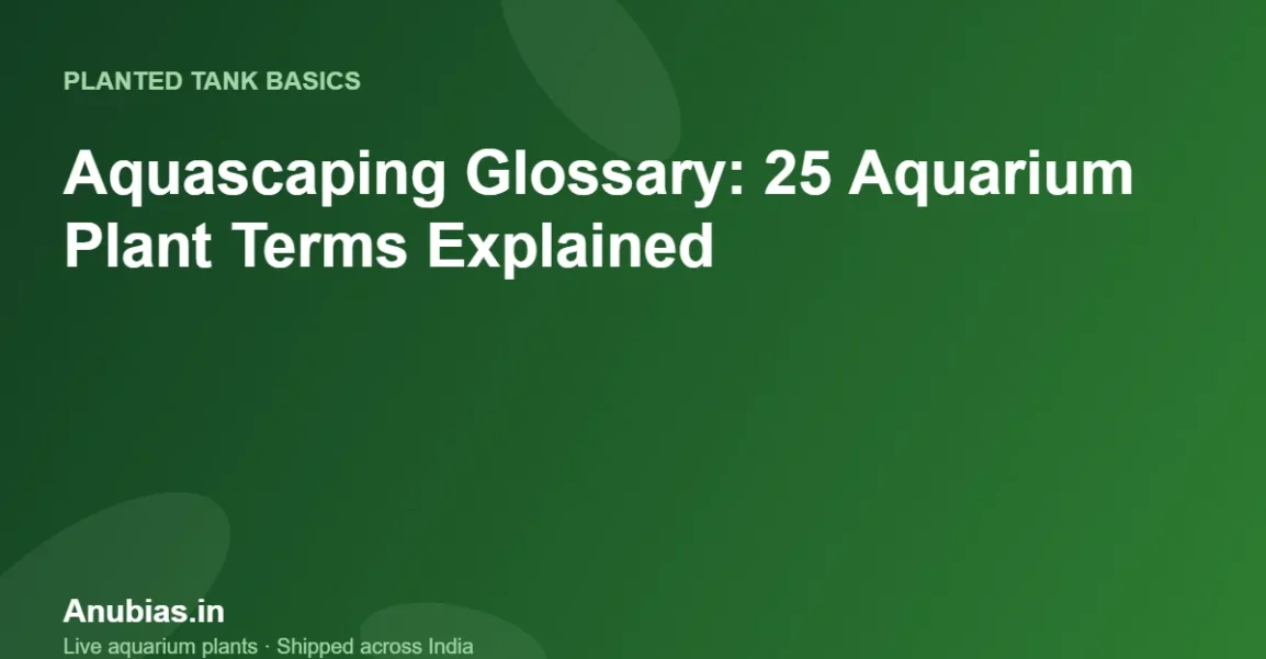 Aquascaping Glossary: 25 Aquarium Plant Terms Explained – Anubias.in