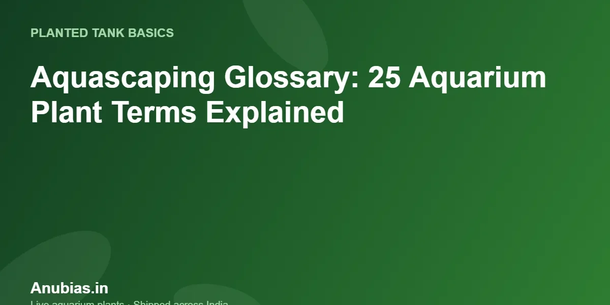 Aquascaping Glossary: 25 Aquarium Plant Terms Explained – Anubias.in