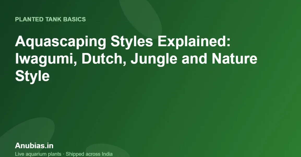 Aquascaping Styles Explained: Iwagumi, Dutch, Jungle and Nature Style – Anubias.in
